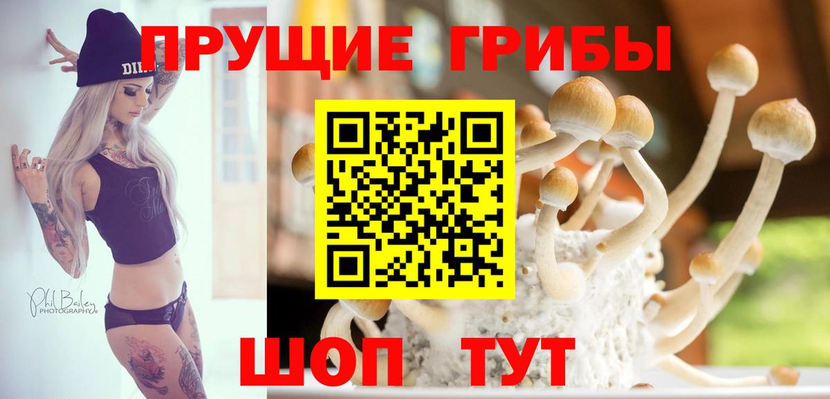 Псилоцибиновые грибы мухоморы Гусев