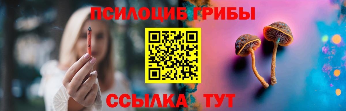 Галлюциногенные грибы MAGIC MUSHROOMS  Вход с VPN  Гусев 